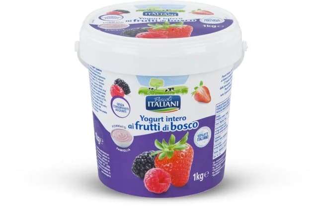 JOGURT ŠUMSKO VOĆE 1kg