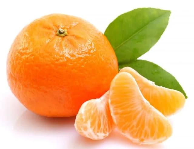 MANDARINA KG KL II