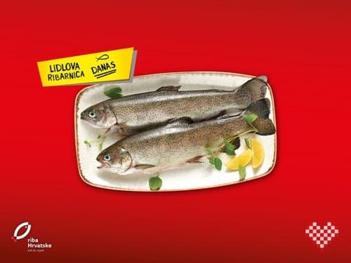 Svježa gacka pastrva