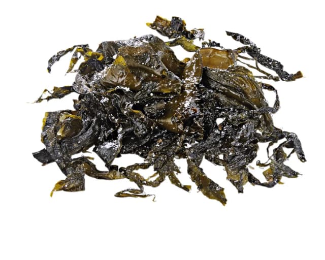 ALGE WAKAME