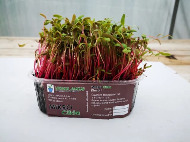 300G MIKROZELENJE CIKLA