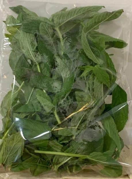30G MENTA MOJITO