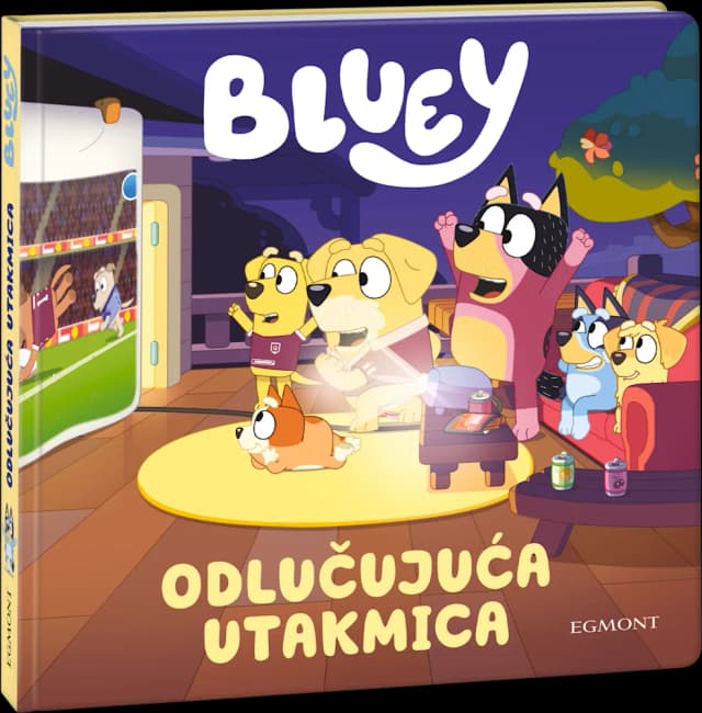 Odlučujuća utakmica