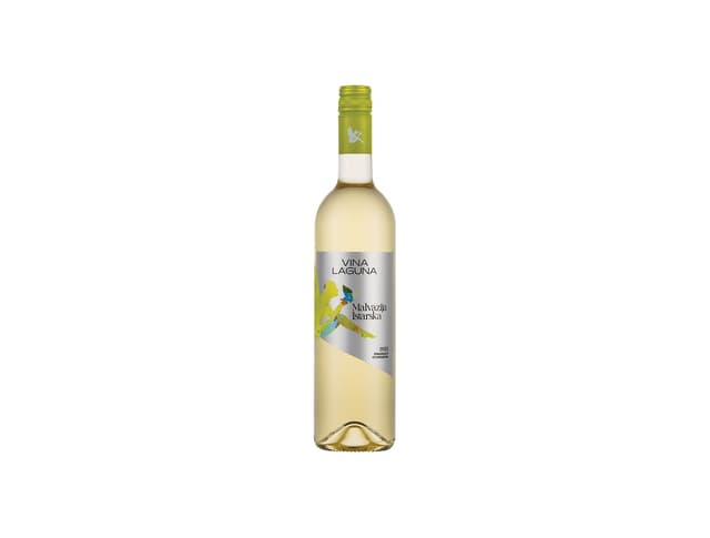 Vino Malvazija